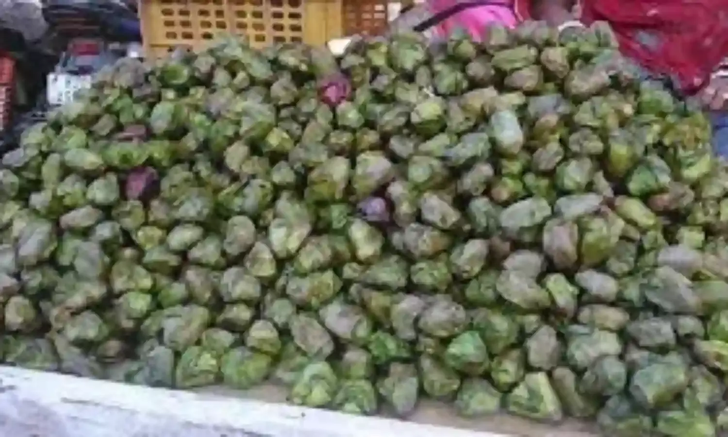 सिंघाड़ा को मिला कृषि फसल का दर्जा, पूर्व विदर्भ अंचल में किसान छोटे तालाबों में करते हैं उत्पादन