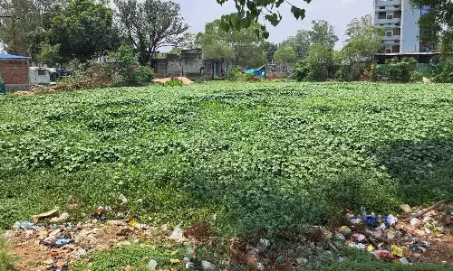 भास्कर पड़ताल, अतिक्रमण की चपेट में शहर की जल संग्रहण संरचनाएं