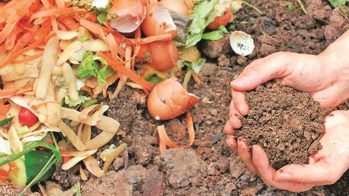 ग्रामीण क्षेत्र में घनकचरा प्रबंधन के लिए कंपोस्ट खाद उत्पादन ग्रामीण क्षेत्र में घनकचरा प्रबंधन के लिए कंपोस्ट खाद उत्पादन