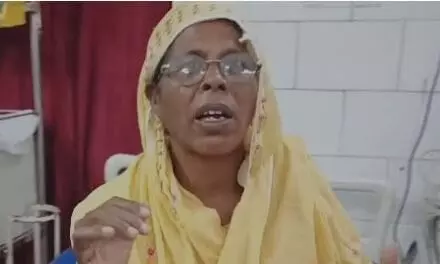 पन्ना नगर में बंदरों का आतंक, बेबा महिला पर हमला नहीं मिली प्राथमिक सहायता पन्ना नगर में बंदरों का आतंक, बेबा महिला पर हमला नहीं मिली प्राथमिक सहायता