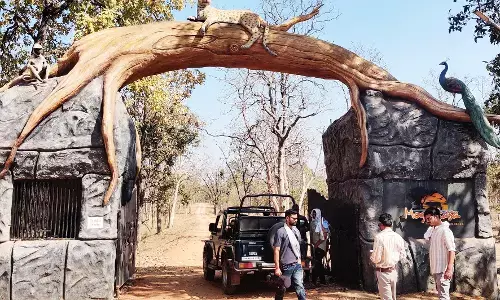 भंडारा के पशुपालकों को राहत, पशुचारे के लिए 100 हेक्टेयर क्षेत्र करवाएंगे उपलब्ध