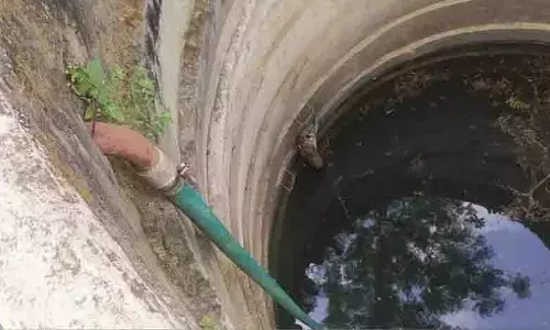 जंगल से सटे खुले कुएं में गिरे तेंदुए के शावक का किया रेस्क्यू