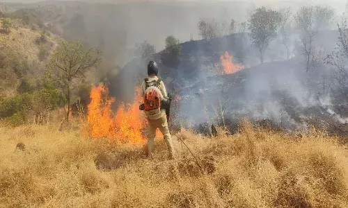 नागझरी पहाड़ में लगी आग, वन विभाग ने 6 घंटो में पाया आग पर काबू