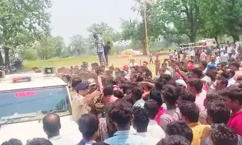 भंडारा में खेत गए किसान को बाघ ने बनाया अपना निवाला , इलाके में दहशत