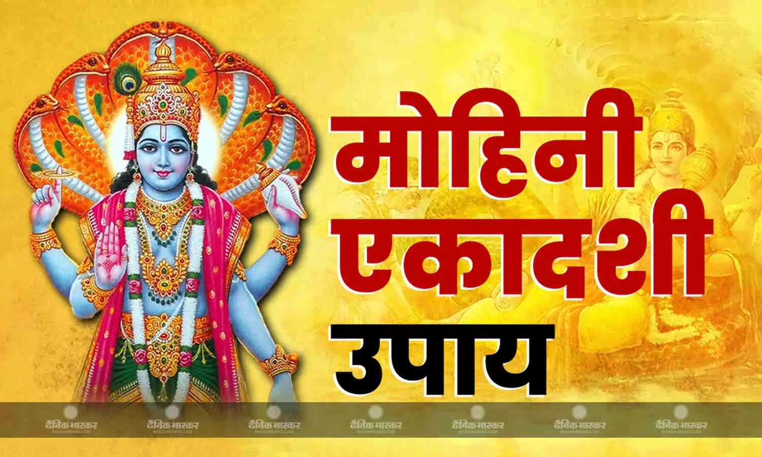 मोहिनी एकादशी पर कर लें ये आसान उपाय, आर्थिक परेशानी दूर होने के साथ बाधाओं से मिलेगी मुक्ति मोहिनी एकादशी पर कर लें ये आसान उपाय, आर्थिक परेशानी दूर होने के साथ बाधाओं से मिलेगी मुक्ति