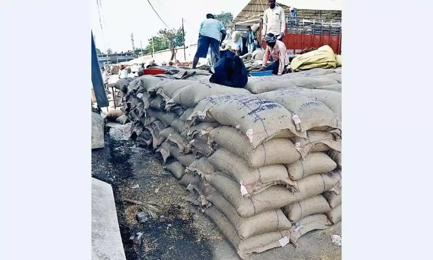 धान घोटाला मामला, 12 थानों में दर्ज प्रकरणों में 74 आरोपियों की गिरफ्तारी पर इनाम घोषित