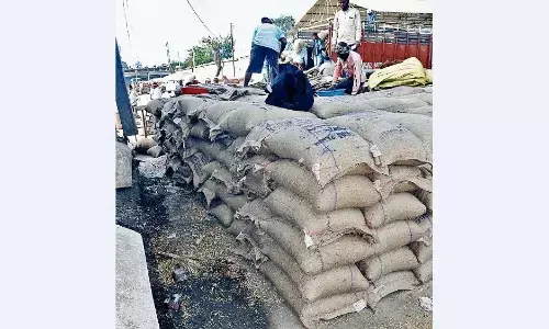 धान घोटाला मामला, 12 थानों में दर्ज प्रकरणों में 74 आरोपियों की गिरफ्तारी पर इनाम घोषित धान घोटाला मामला, 12 थानों में दर्ज प्रकरणों में 74 आरोपियों की गिरफ्तारी पर इनाम घोषित