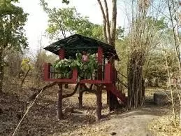 बुद्ध पूर्णिमा की चांदनी रात में वन्यजीवों का होगा दीदार, वनप्रेमियों में उत्साह बुद्ध पूर्णिमा की चांदनी रात में वन्यजीवों का होगा दीदार, वनप्रेमियों में उत्साह