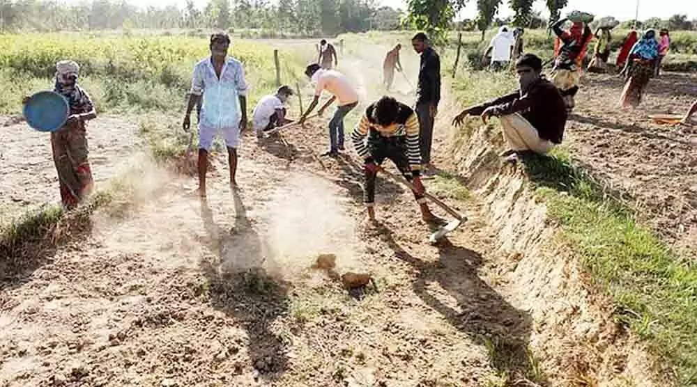 ग्रीष्म में काम की तलाश में भटकते 11 हजार 768 मजदूरों की गुजारे की समस्या हुई हल ग्रीष्म में काम की तलाश में भटकते 11 हजार 768 मजदूरों की गुजारे की समस्या हुई हल
