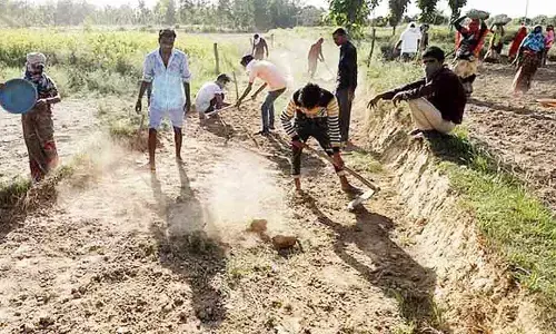 ग्रीष्म में काम की तलाश में भटकते 11 हजार 768 मजदूरों की गुजारे की समस्या हुई हल