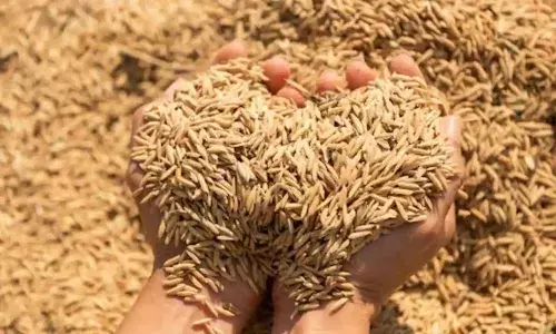 धान बोनस घोटाला से बचने सख्ती से कर रहा किसानों के दस्तावेजों की जांच