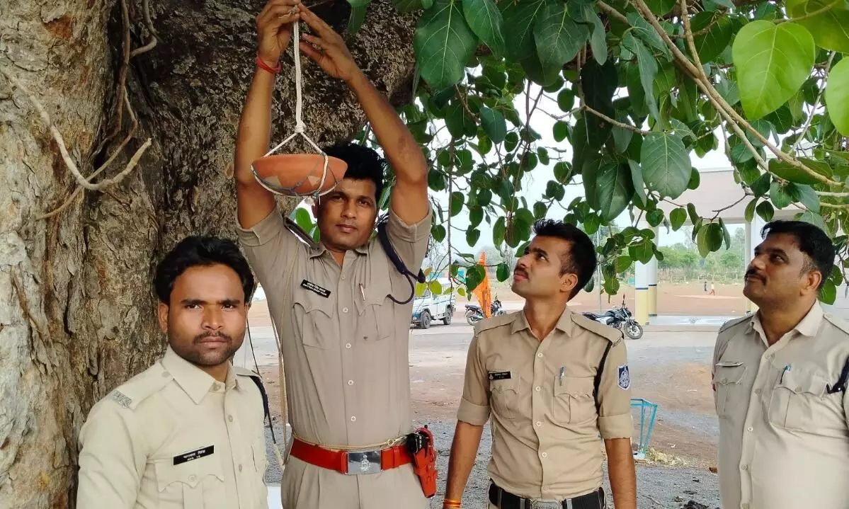 रैपुरा पुलिस ने पक्षियों को पानी के लिए पेड में लटकाये सकोरे रैपुरा पुलिस ने पक्षियों को पानी के लिए पेड में लटकाये सकोरे