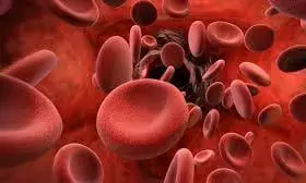 भास्कर खास- अब सिकलसेल की तरह थैलेसीमिया मरीजों की भी पोर्टल में दर्ज होगी जानकारी भास्कर खास- अब सिकलसेल की तरह थैलेसीमिया मरीजों की भी पोर्टल में दर्ज होगी जानकारी