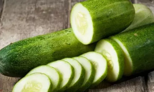 खीरे के साथ आप कुछ भी खा लेते हैं, तो हो जाएं सतर्क, आपकी सेहत के लिए हो सकता है नुकसानदायक