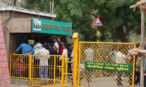 ताड़ोबा में बाघ को देखने उमड़ रही भीड़ , पर्यटकों की बढ़ी संख्या