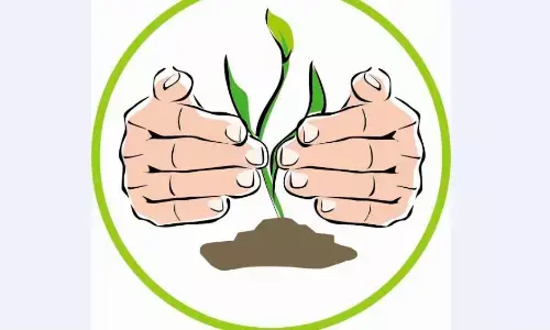 दावा- 60 लाख पौधे लगाने की तैयारी, कई एकड़ में होगी ग्रीनरी