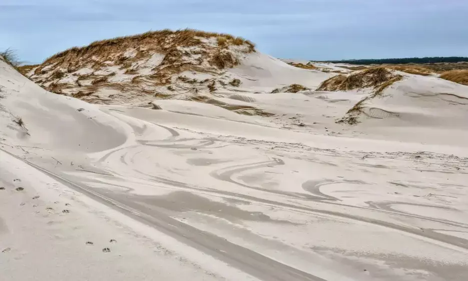 कृत्रिम बालू के उत्पादन और इस्तेमाल नीति को मंजूरी, सरकारी विभागों को इस्तेमाल करना होगा कृत्रिम बालू
