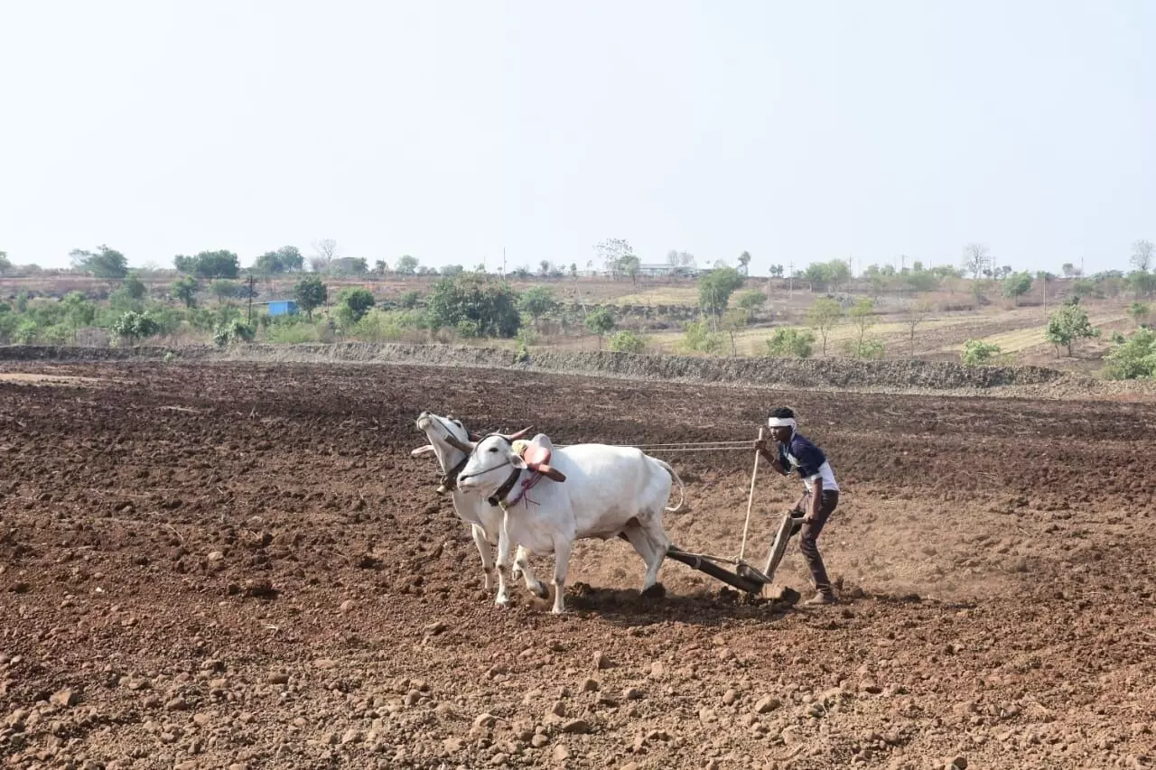 अब खरीफ से आस: 2.25 लाख किसानों को मिलेगा 1650 करोड़ का फसल ऋण अब खरीफ से आस: 2.25 लाख किसानों को मिलेगा 1650 करोड़ का फसल ऋण