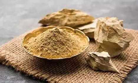 झड़ते बालों और ड्राई स्कैल्प से हैं परेशान, तो मुल्तानी मिट्टी से बनाएं ये 2 हेयर मास्क, कुछ ही दिन में दिखेगा डिफरेंस झड़ते बालों और ड्राई स्कैल्प से हैं परेशान, तो मुल्तानी मिट्टी से बनाएं ये 2 हेयर मास्क, कुछ ही दिन में दिखेगा डिफरेंस
