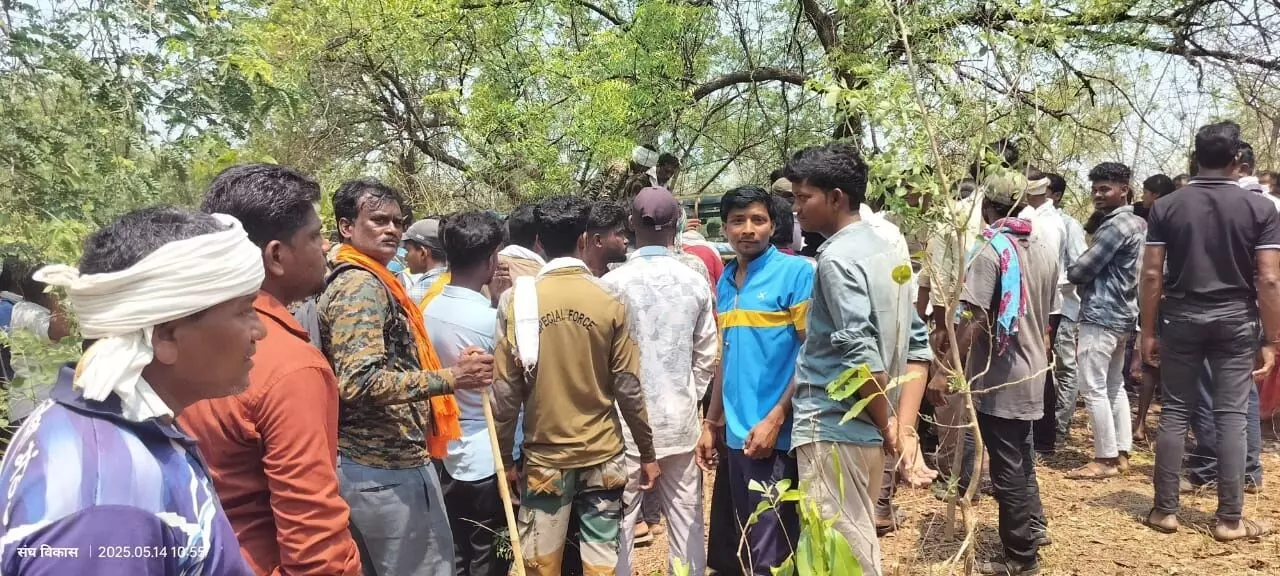 कांप उठी रूह जब पति के सामने ही महिला को घसीटकर ले गया बाघ कांप उठी रूह जब पति के सामने ही महिला को घसीटकर ले गया बाघ