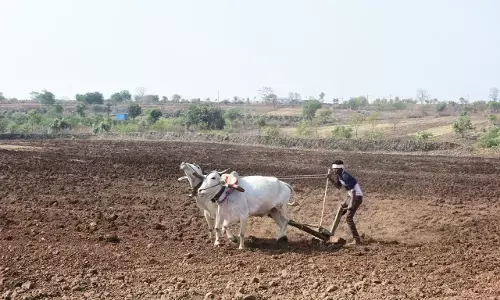 अब खरीफ से आस: 2.25 लाख किसानों को मिलेगा 1650 करोड़ का फसल ऋण अब खरीफ से आस: 2.25 लाख किसानों को मिलेगा 1650 करोड़ का फसल ऋण