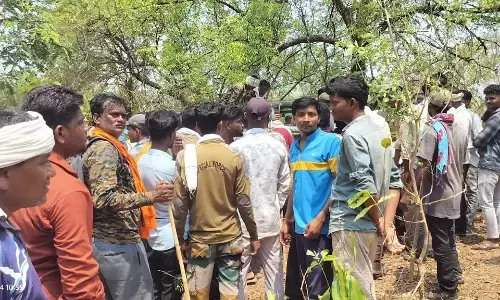 कांप उठी रूह जब पति के सामने ही महिला को घसीटकर ले गया बाघ