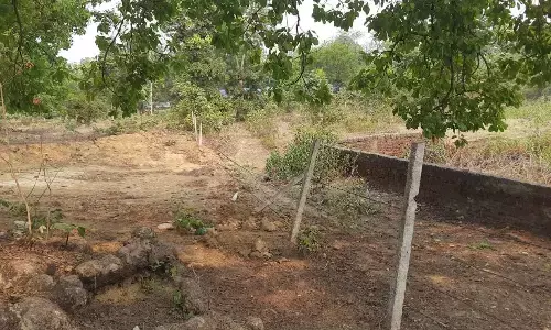 बांधवगढ़ में हरियाली से खिलवाड़, पेड़ काटे, पहले खेत बनाए अब निर्माण बांधवगढ़ में हरियाली से खिलवाड़, पेड़ काटे, पहले खेत बनाए अब निर्माण