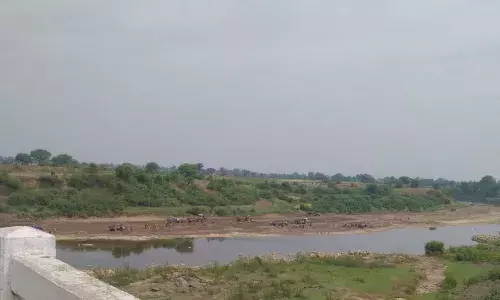 रेत का खेल...एक ट्रैक्टर का 17 हजार रेट तय, पुलिस, प्रशासन, सत्ता के संरक्षण में खनन रेत का खेल...एक ट्रैक्टर का 17 हजार रेट तय, पुलिस, प्रशासन, सत्ता के संरक्षण में खनन