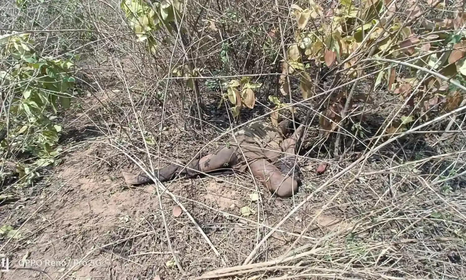 दो जंगली हाथियों ने तेंदूपत्ता तोडऩे गए तीन ग्रामीणों को कुचलकर मार डाला