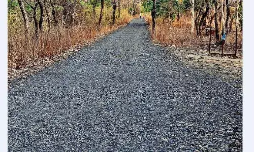 डुमना नेचर पार्क में मिट्टी पर चलने की जगह मिल रही है गिट्टी की चुभन
