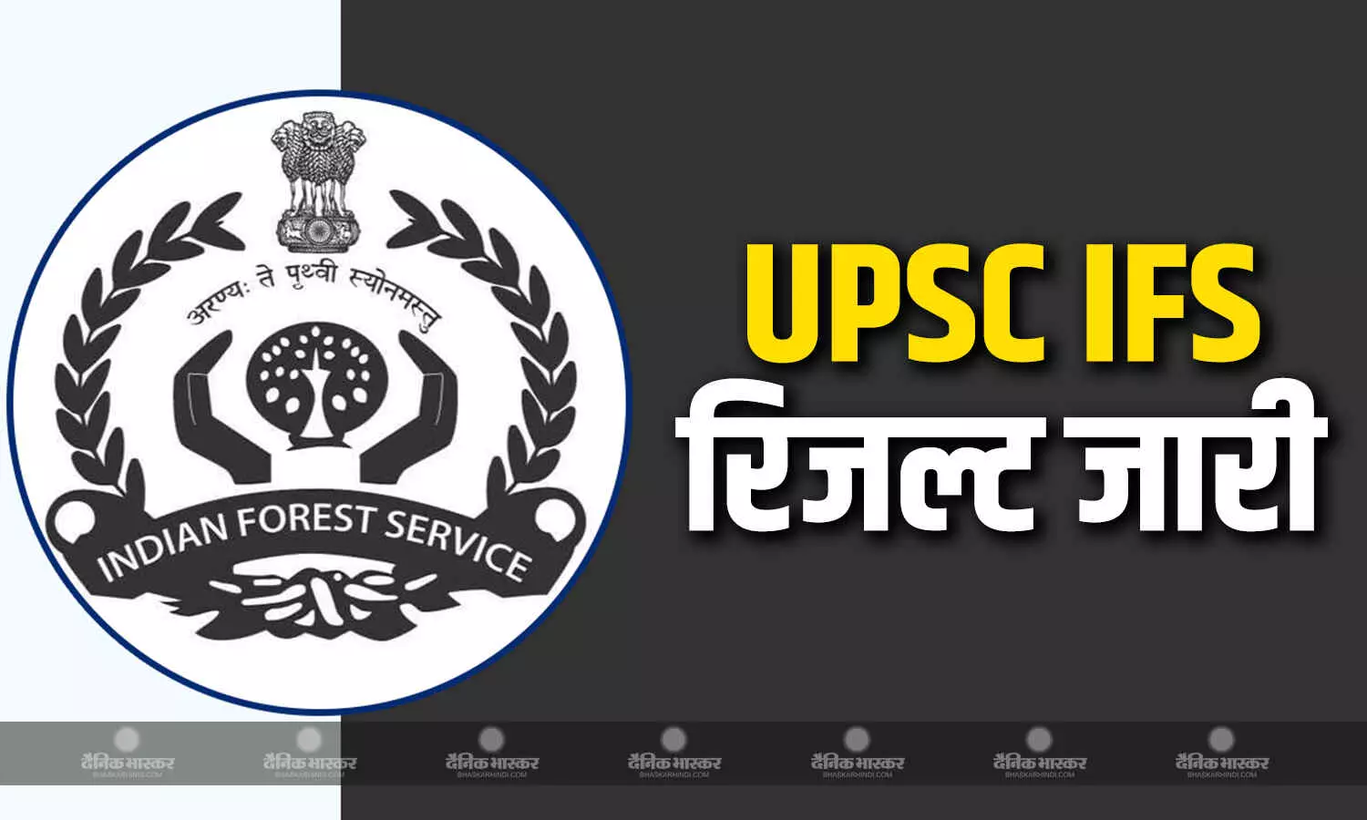 यूपीएससी की तरफ से जारी किया गया आईएफएस परीक्षा का रिजल्ट, जानें कितने उम्मीदवारों ने मारी बाजी यूपीएससी की तरफ से जारी किया गया आईएफएस परीक्षा का रिजल्ट, जानें कितने उम्मीदवारों ने मारी बाजी