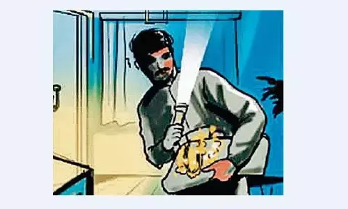 नासिक से लग्जरी कार में आए थे शातिर चोर