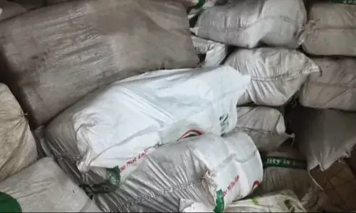 जंगल में 121 बोरियों में छिपाकर रखा 3.6 करोड़ का गांजा बरामद जंगल में 121 बोरियों में छिपाकर रखा 3.6 करोड़ का गांजा बरामद