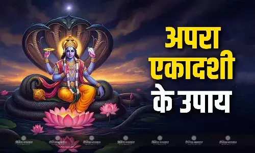 जीवन के कष्ट होंगे दूर और खुशियों की आएगी बहार, बस अपरा एकादशी पर कर लें ये उपाय