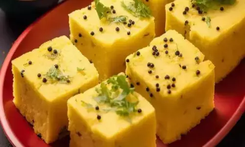 गर्मियों में तला-भुना खाने से करें परहेज, बनाएं सॉफ्ट-सॉफ्ट ढोकले, मार्केट जैसे स्वाद अब घर पर