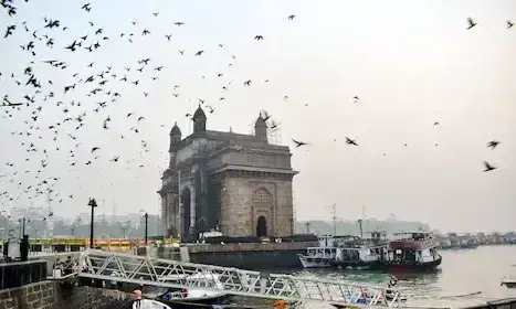 सुप्रीम कोर्ट ने फ्लोटिंग जेटी परियोजना पर सुनवाई से किया इनकार सुप्रीम कोर्ट ने फ्लोटिंग जेटी परियोजना पर सुनवाई से किया इनकार