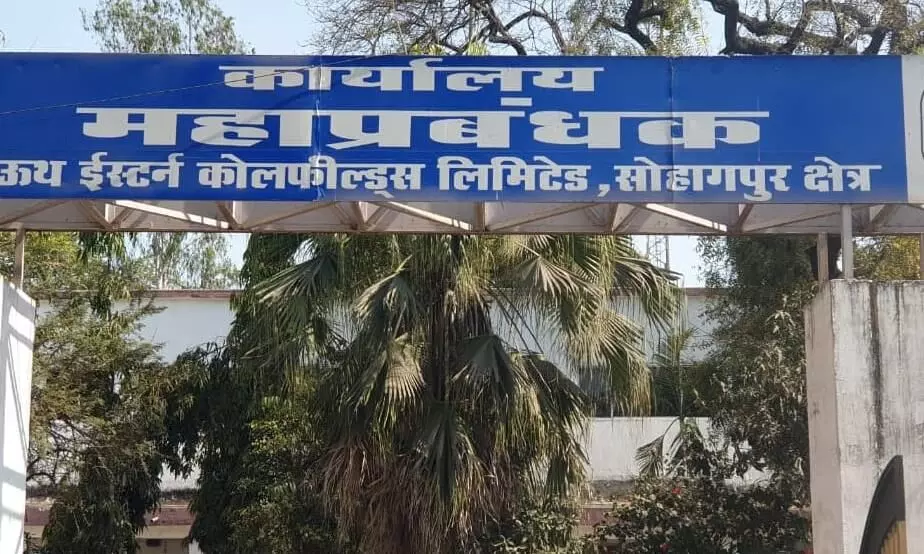 एसईसीएल सोहागपुर एरिया में एक ही कुर्सी पर कई वर्षों से जमे क्लर्क एसईसीएल सोहागपुर एरिया में एक ही कुर्सी पर कई वर्षों से जमे क्लर्क