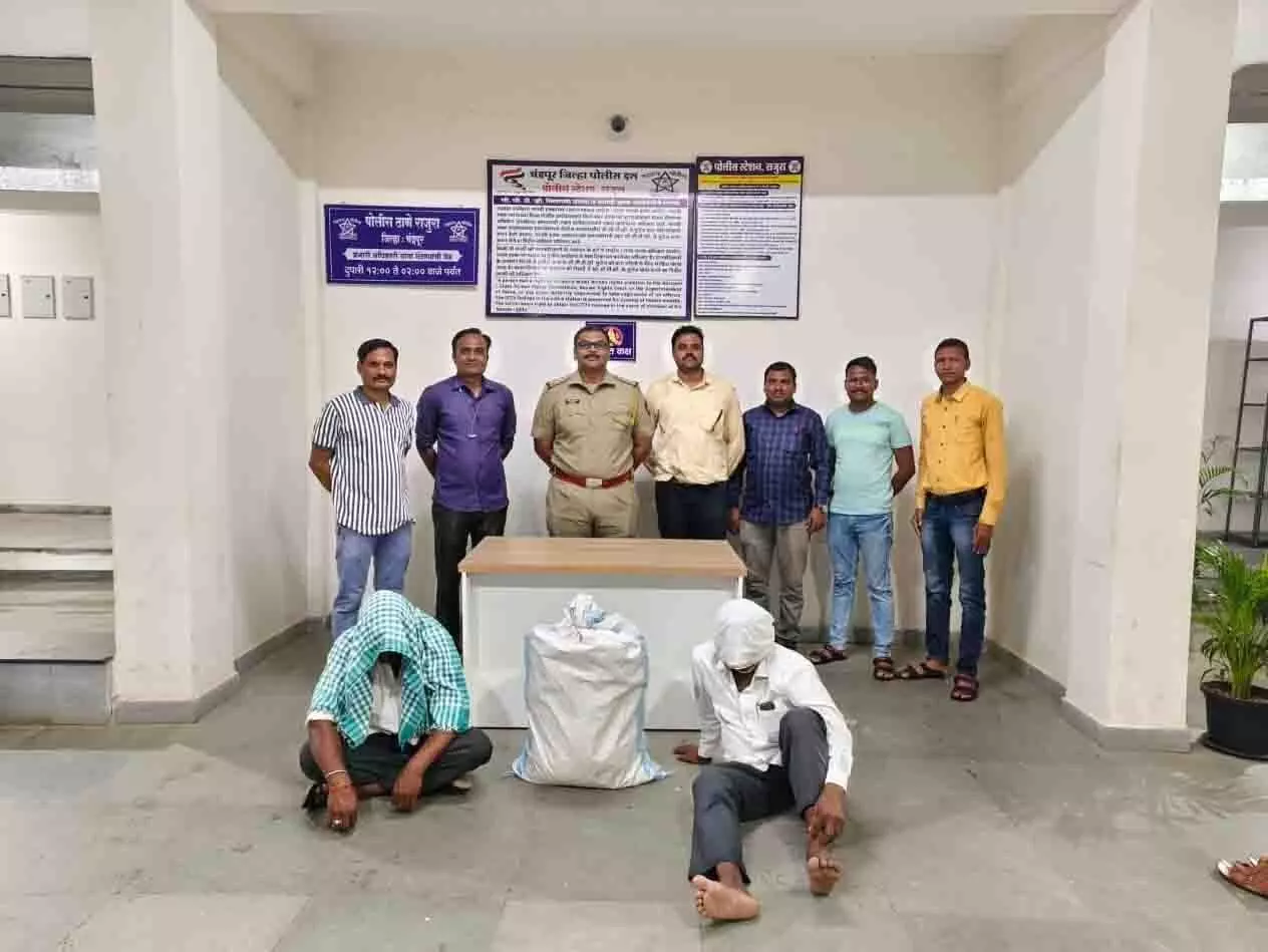 चंद्रपुर में प्रतिबंधित बीटी बीज रखने वालों को दबोचा, दो नामजद चंद्रपुर में प्रतिबंधित बीटी बीज रखने वालों को दबोचा, दो नामजद
