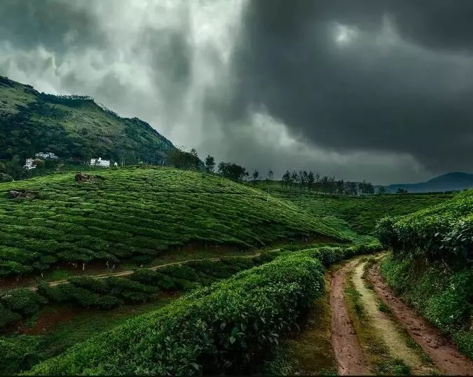 मानसून में उठाना है बारिश का मजा, तो भारत की इन जगहों पर जाएं घुमने, मौसम का मजा हो जाएगा दोगुना मानसून में उठाना है बारिश का मजा, तो भारत की इन जगहों पर जाएं घुमने, मौसम का मजा हो जाएगा दोगुना