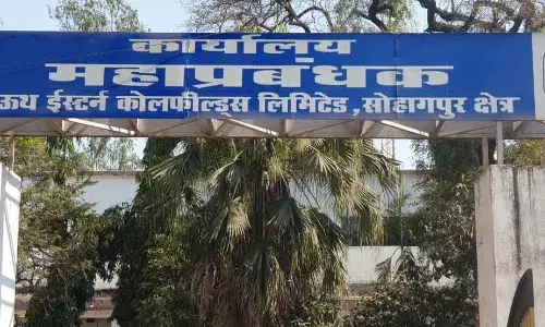 एसईसीएल सोहागपुर एरिया में एक ही कुर्सी पर कई वर्षों से जमे क्लर्क