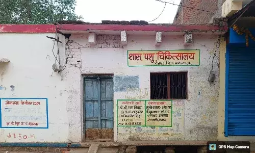 रैपुरा के पशु अस्पताल में लटका रहता है ताला, आए दिन बिना इलाज के लौट रहे पशुपालक