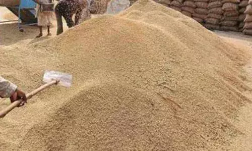 69 रुपए से धान का समर्थन मूल्य बढ़ाना किसानों के साथ किया जा रहा मजाक