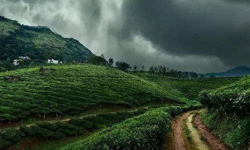 मानसून में उठाना है बारिश का मजा, तो भारत की इन जगहों पर जाएं घुमने, मौसम का मजा हो जाएगा दोगुना