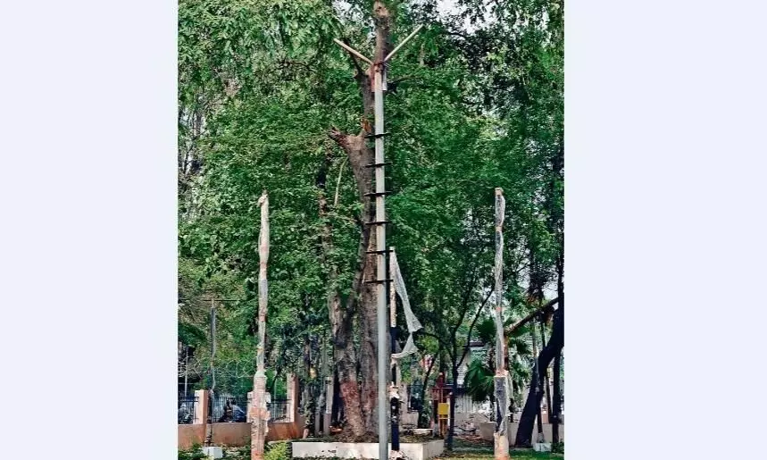 तीन माह से सिर्फ खंभे खड़े, नहीं लगाईं लाइटें तीन माह से सिर्फ खंभे खड़े, नहीं लगाईं लाइटें