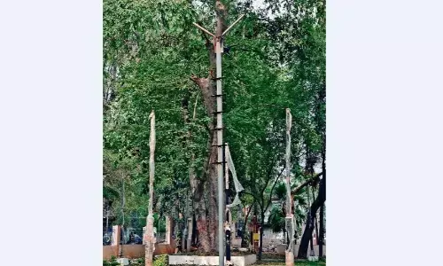 तीन माह से सिर्फ खंभे खड़े, नहीं लगाईं लाइटें तीन माह से सिर्फ खंभे खड़े, नहीं लगाईं लाइटें