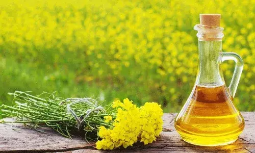 हेयर फॉल से परेशान? बाल दिखते हैं रूखे-सूखे? घर पर बने इस तेल से मिलेगा सब समस्याओं से छुटकारा, सिर्फ 3 चीजों की पड़ेगी जरूरत
