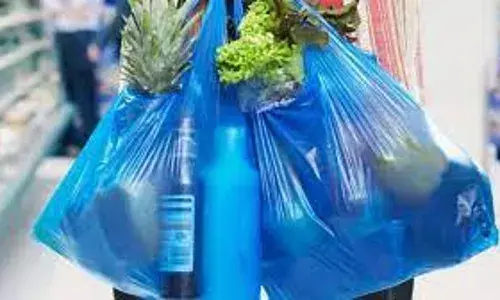 प्लास्टिक प्रदूषण रोकने जनजागृति पर 2 करोड़ 49 लाख रुपए खर्च करेगी सरकार