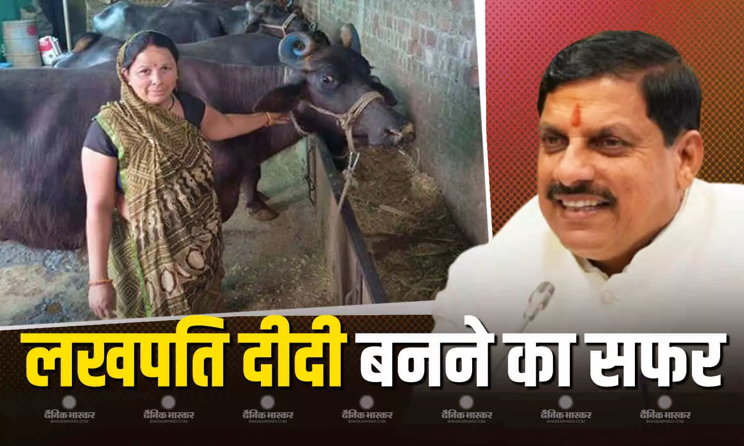 मध्य प्रदेश ग्रामीण आजीविका मिशन ने बदली जिंदगी, आर्थिक तंगी से जूझ रहीं छाया दीदी अब कमाती हैं लाखों, जानें लखपति दीदी की कहानी मध्य प्रदेश ग्रामीण आजीविका मिशन ने बदली जिंदगी, आर्थिक तंगी से जूझ रहीं छाया दीदी अब कमाती हैं लाखों, जानें लखपति दीदी की कहानी
