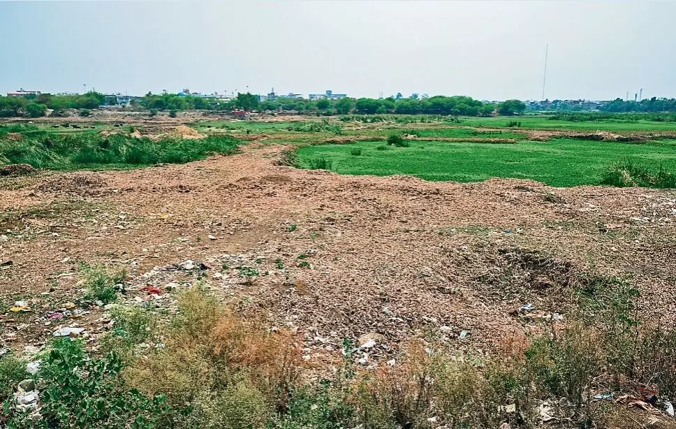 3 साल बाद भी नहीं बदली माढ़ोताल तालाब की तस्वीर, सौंदर्यीकरण तो दूर कब्जे भी नहीं हटाए 3 साल बाद भी नहीं बदली माढ़ोताल तालाब की तस्वीर, सौंदर्यीकरण तो दूर कब्जे भी नहीं हटाए