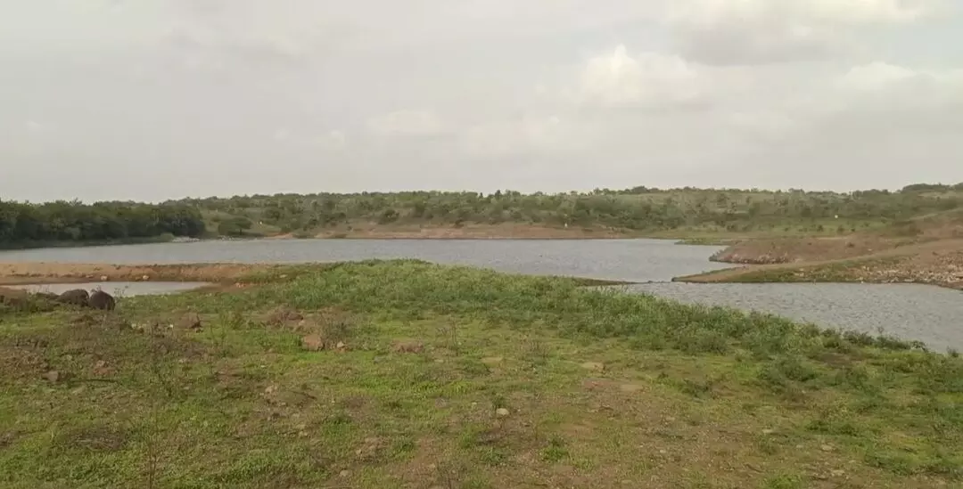 पुणे से सटे कड़ाचीवाड़ी स्थित तालाब में डूबने से चार बच्चों की मौत पुणे से सटे कड़ाचीवाड़ी स्थित तालाब में डूबने से चार बच्चों की मौत